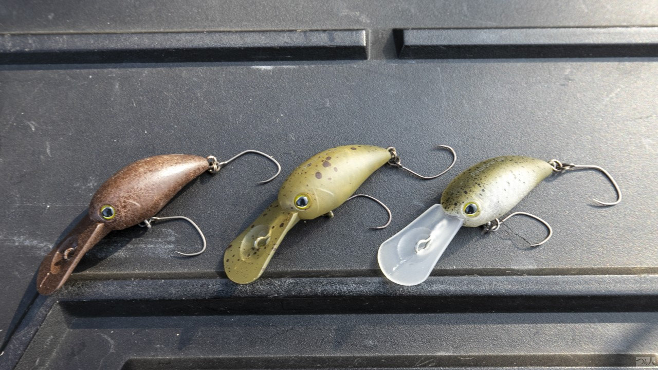 エリアトラウト】世界2位が教えるクランク使い分け術 5つのレンジ攻略