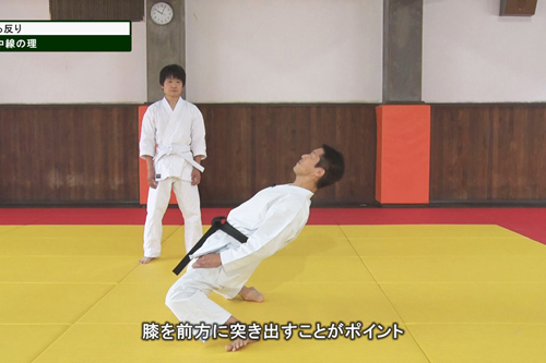 新作DVDレビュー】柳川昌弘直伝の鍛錬法！平松芳雄先生のDVD【武道空手