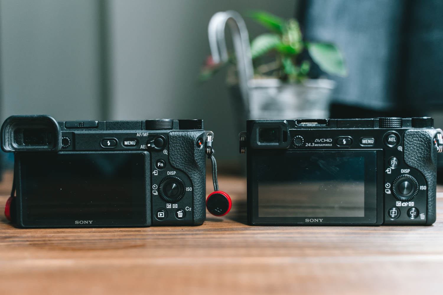 SONY α6400実写レビュー！フルサイズに匹敵する性能のAPS-Cミラーレス！