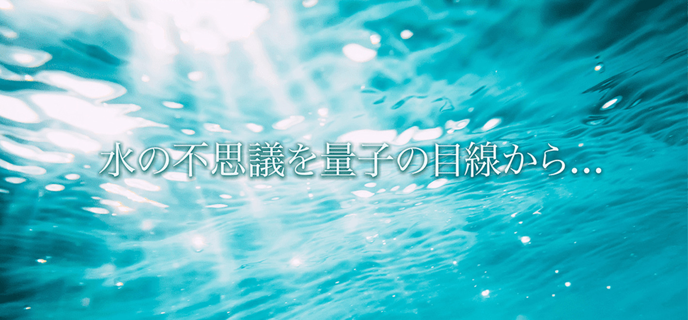 株式会社 ウエルネス