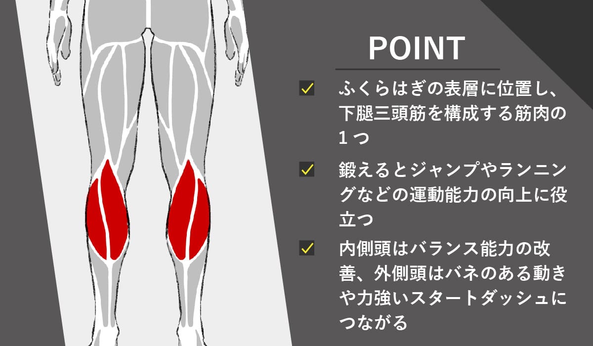 ふくらはぎを鍛える筋トレメニュー5選！自重・マシンの種目、筋トレ