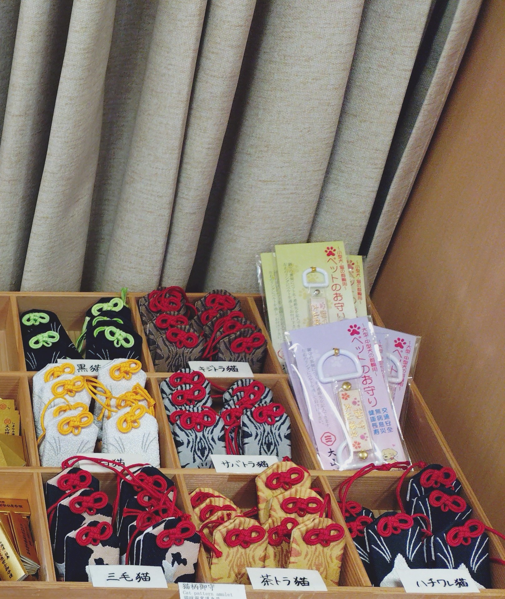 よりみちレポ】猫の日の〝ニャンダフル！〟なイベントへ | タウン情報