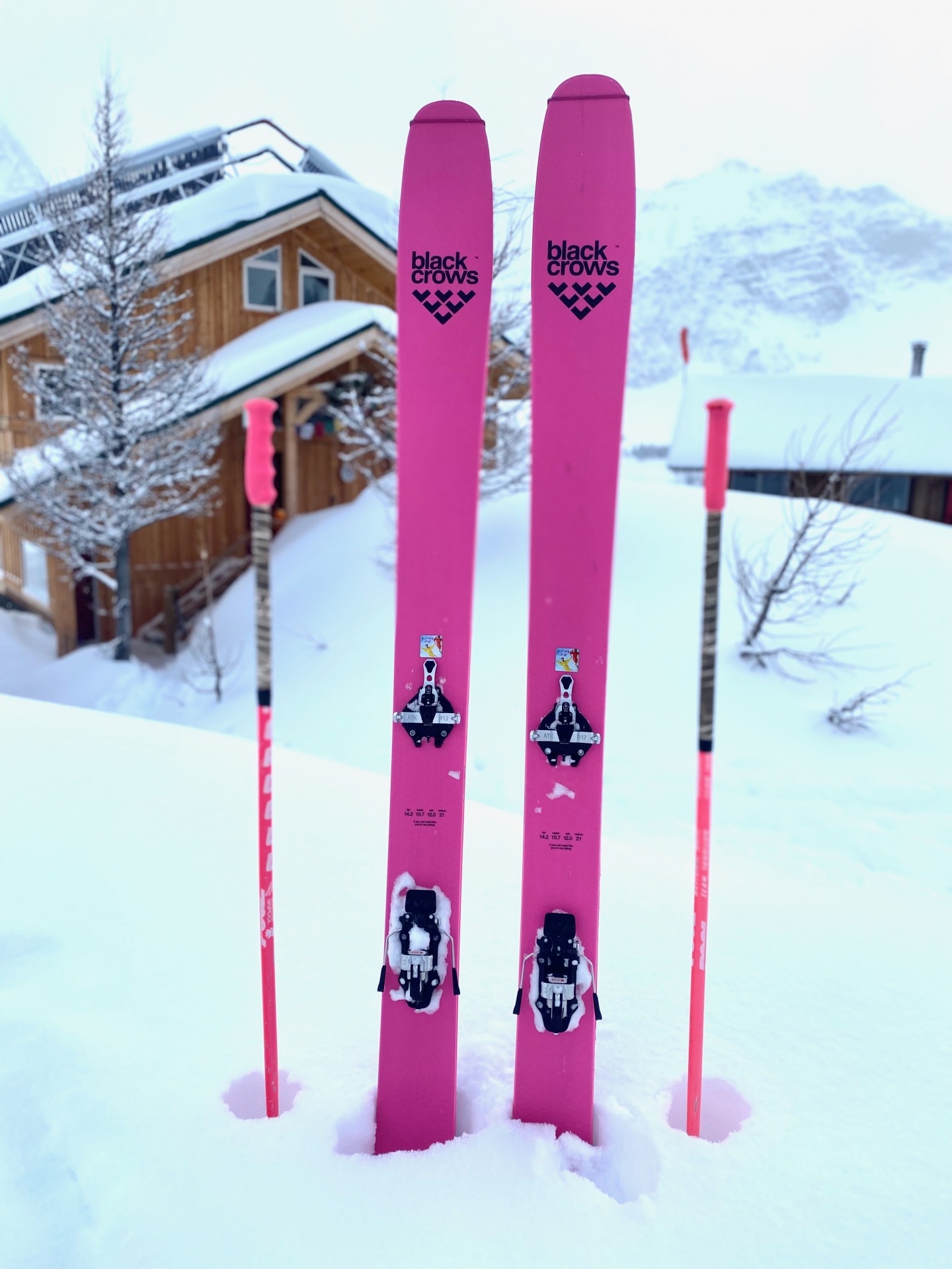 Black Crows Corvus Freebird (The Pink One): A Review - The