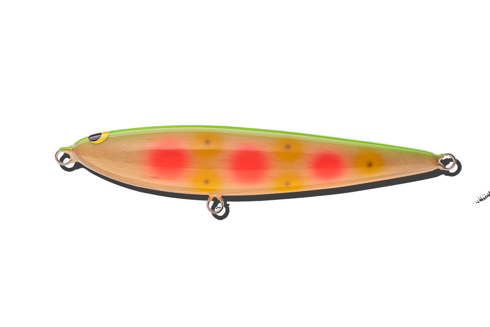 D-BONITO180 | WooDream