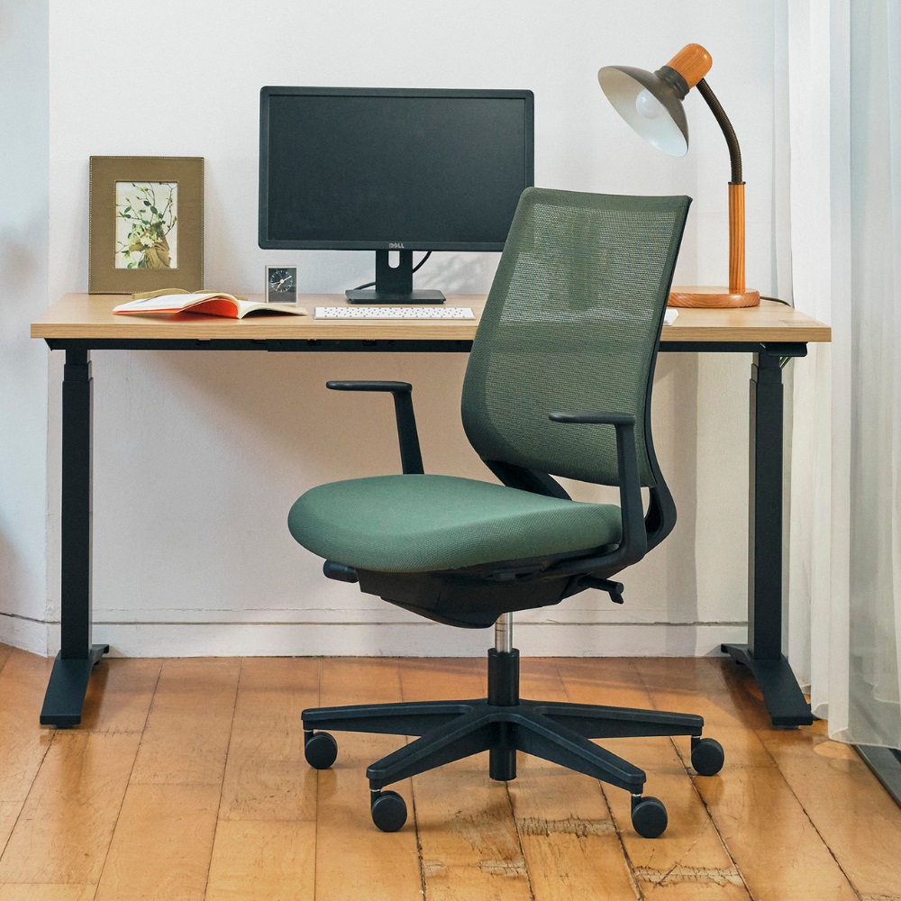 Mitra2 ミトラ2／メッシュタイプ／スタンダードバック／ランバー