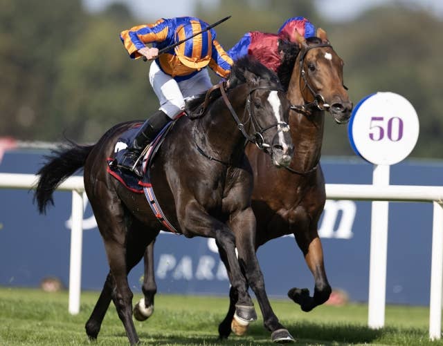 オーギュストロダンはジャパンCで引退、愛クールモアスタッドで種牡馬