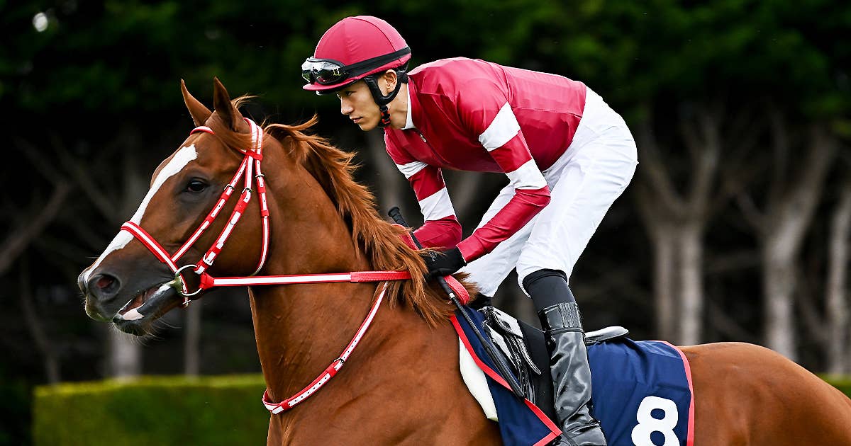 レース概要・過去結果 | 2024凱旋門賞 | JRA-VAN World - 海外競馬情報