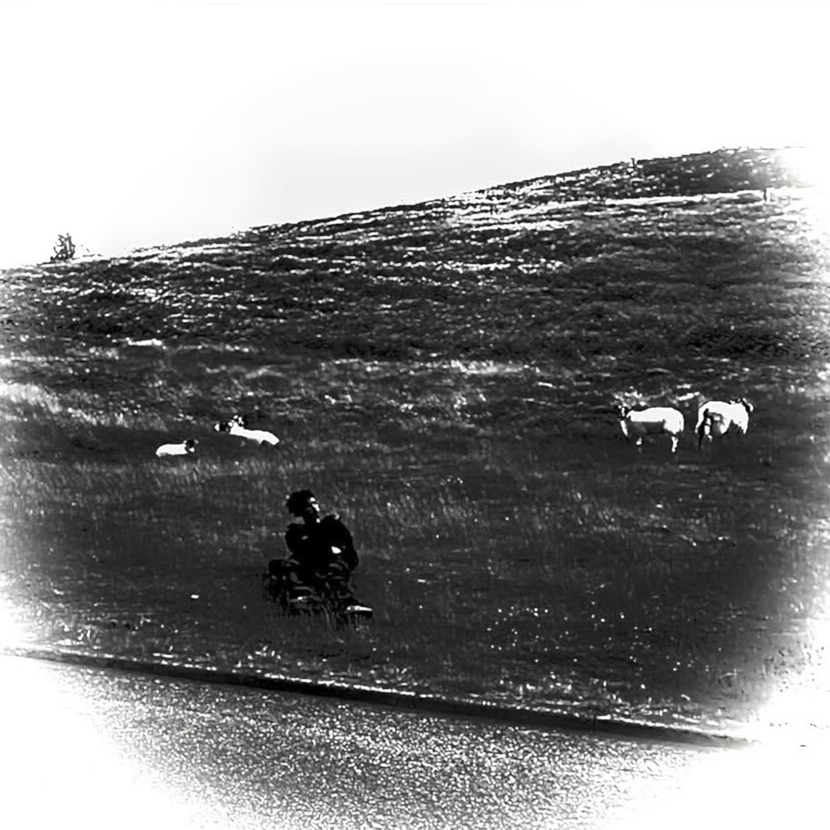 Pretty V - Destiny of Illusion – World Of Echo