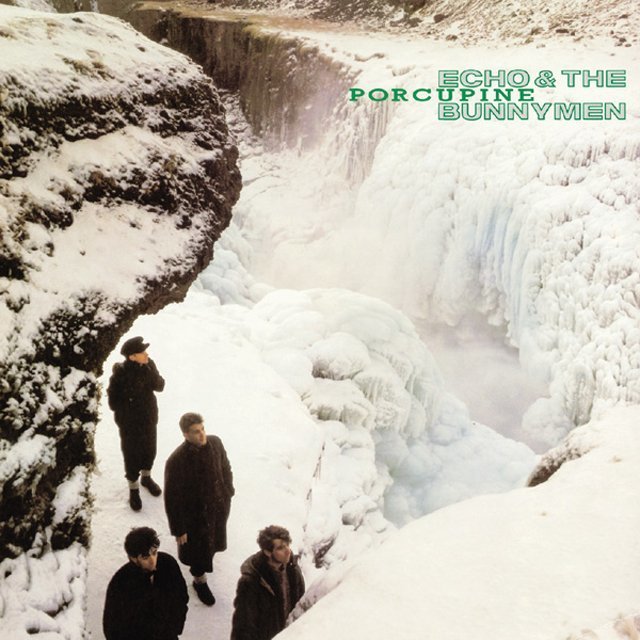 Echo ＆ The Bunnymen / エコー＆ザ・バニーメン「PORCUPINE