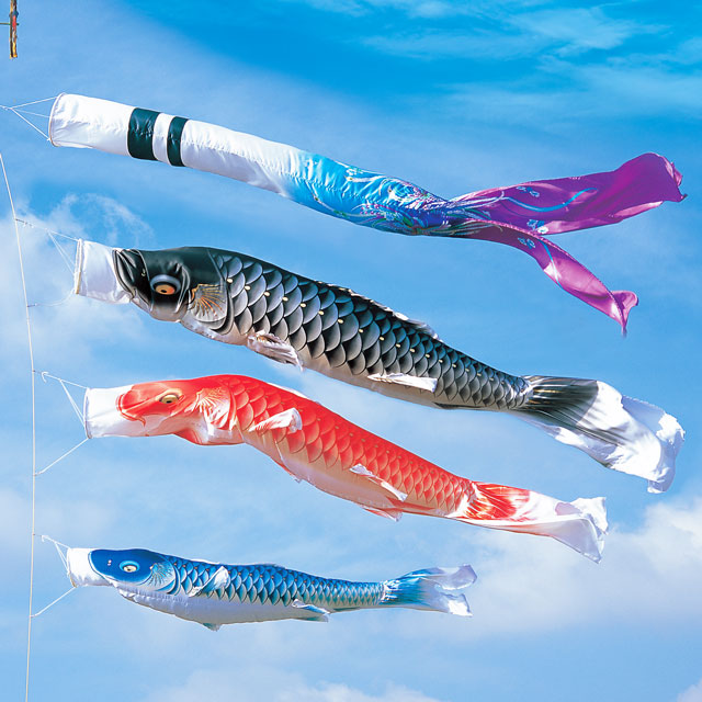 3m積美画スーパースターゴールド鯉のぼり6点セット（ポールなし）が