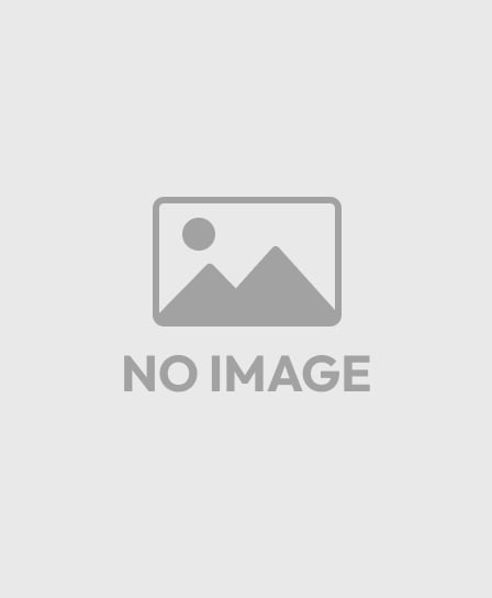 ブシロードスリーブコレクションミニ Vol.303 カードファイト!! ヴァン