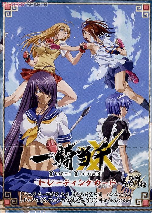 一騎当千 XX」 トレーディングカード (トレーディングカード) - ホビー