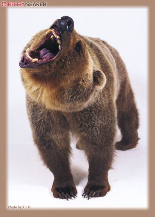 ブロッコリー ハイブリッドスリーブ 野生の咆哮 (カードスリーブ