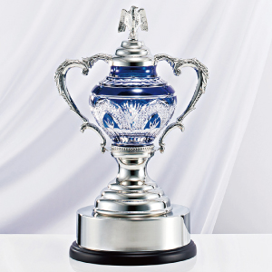 クリスタルトロフィー 地球付 YC-4916 Bサイズ