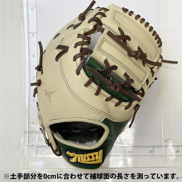野球 タイシークラフト スワロー限定 オーダー 軟式ファーストミット