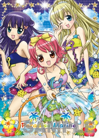 キッズ向け人気カードゲームがDSに登場。「リルぷりっDS ひめチェン