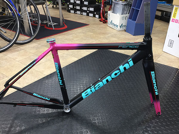 Bianchi(ビアンキ) FENICE PRO(フェニーチェ プロ) フレームセット