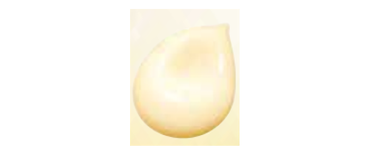 美容液｜セルアドバンスト セラム WS（リフィル）セレクション