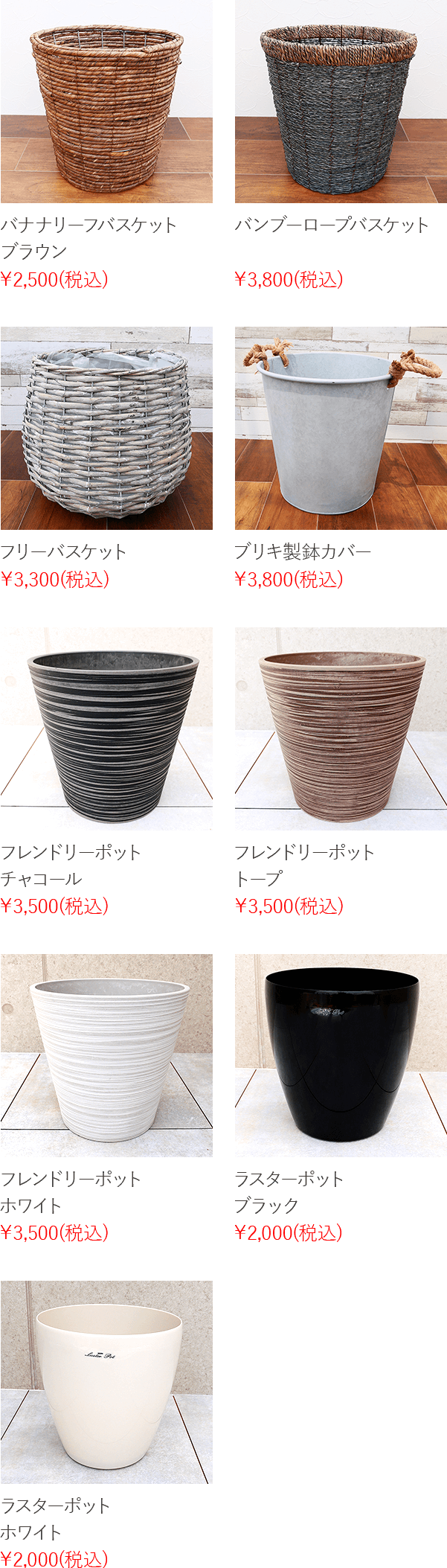 パキラ 8号鉢 観葉植物と植木鉢の専門店cocolate（ココレート）