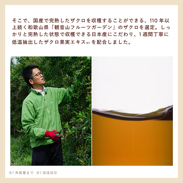 N organic Plenum ディープホールド クリーム / N organic(エヌ