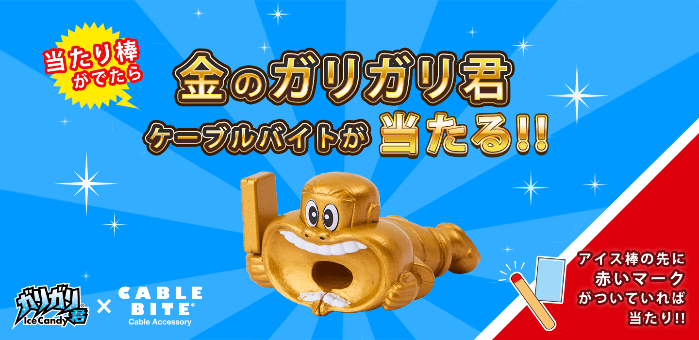 ガリガリ君 ｜ 【公式】ケーブル バイト CABLE BITE