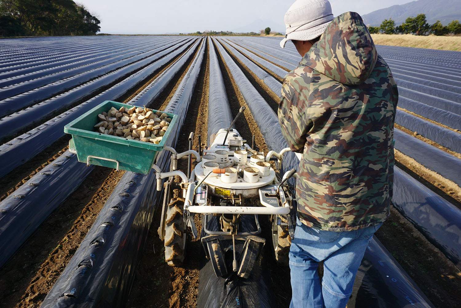 2023年も鹿児島鹿屋で植え付け始まりました！｜じゃがいもDiary｜カルビー