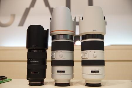 Gレンズ「SAL70400G2（70-400mm）」で、鳥とわんこを撮影してみたっ