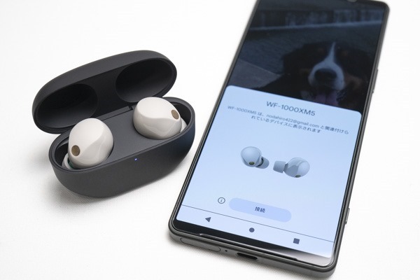 どうやら、自宅用、職場用として、完全ワイヤレスイヤホン付属の、2個