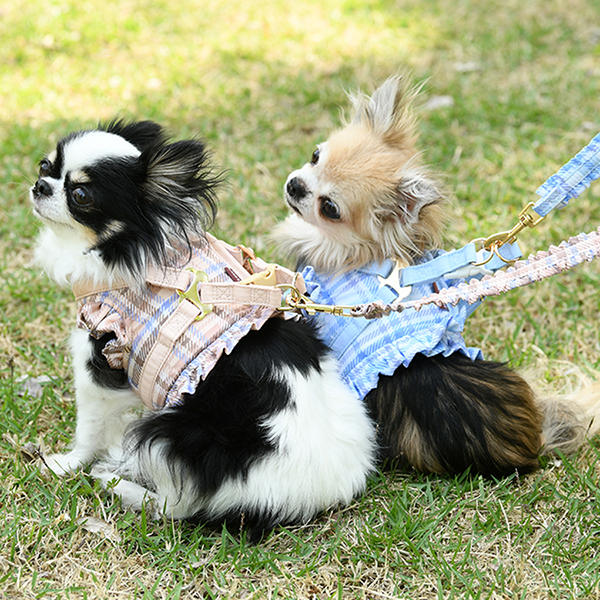 ONE OCTAVE（ワンオクターヴ）チェック柄フリルハーネス｜全2色 | 犬服