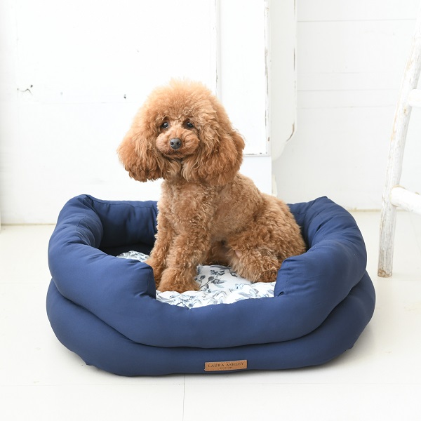 LAURA ASHLEY（ローラアシュレイ）花柄ベッド｜全2色 | 犬服・ドック