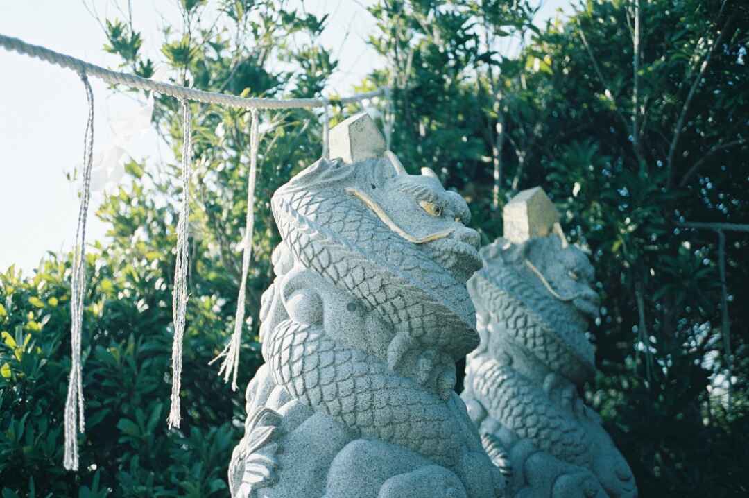 コンパクトフィルムカメラ、『FUJIFILM KLASSE』レビュー | #撮影