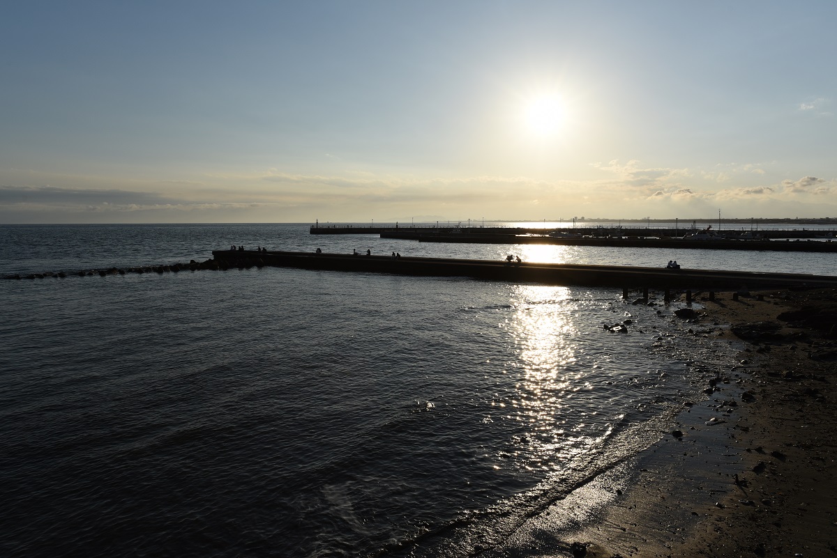 作例付】ニコン AF-S NIKKOR 24mm f/1.4G ED キレとボケ味が両立した大