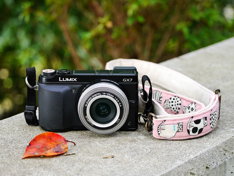 おすすめミラーレスカメラPanasonic DMC-GX7【京都の猫 作例編】