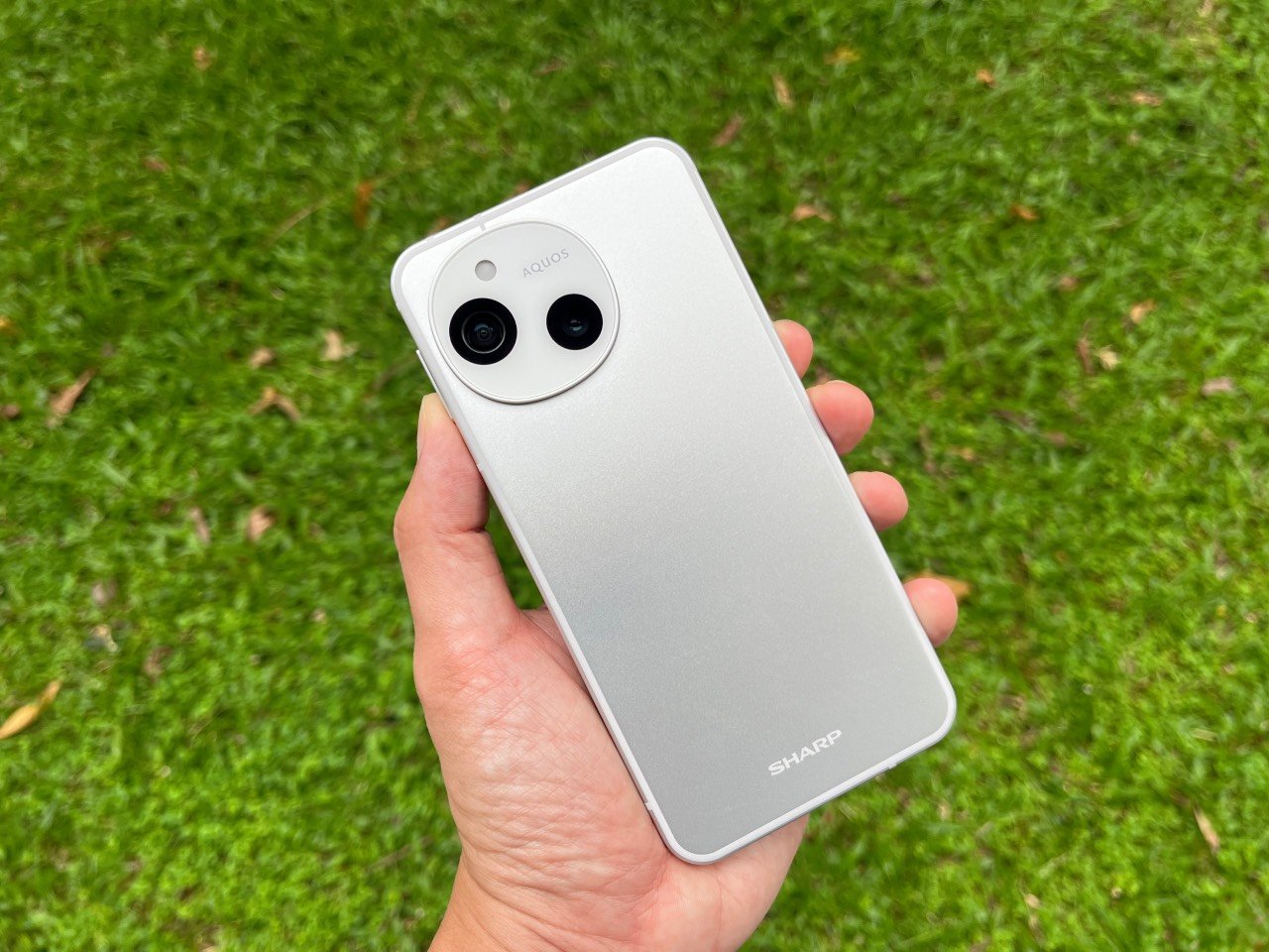 Sharp Aquos Sense9 review: Compact and hardy - Can Buy or Not