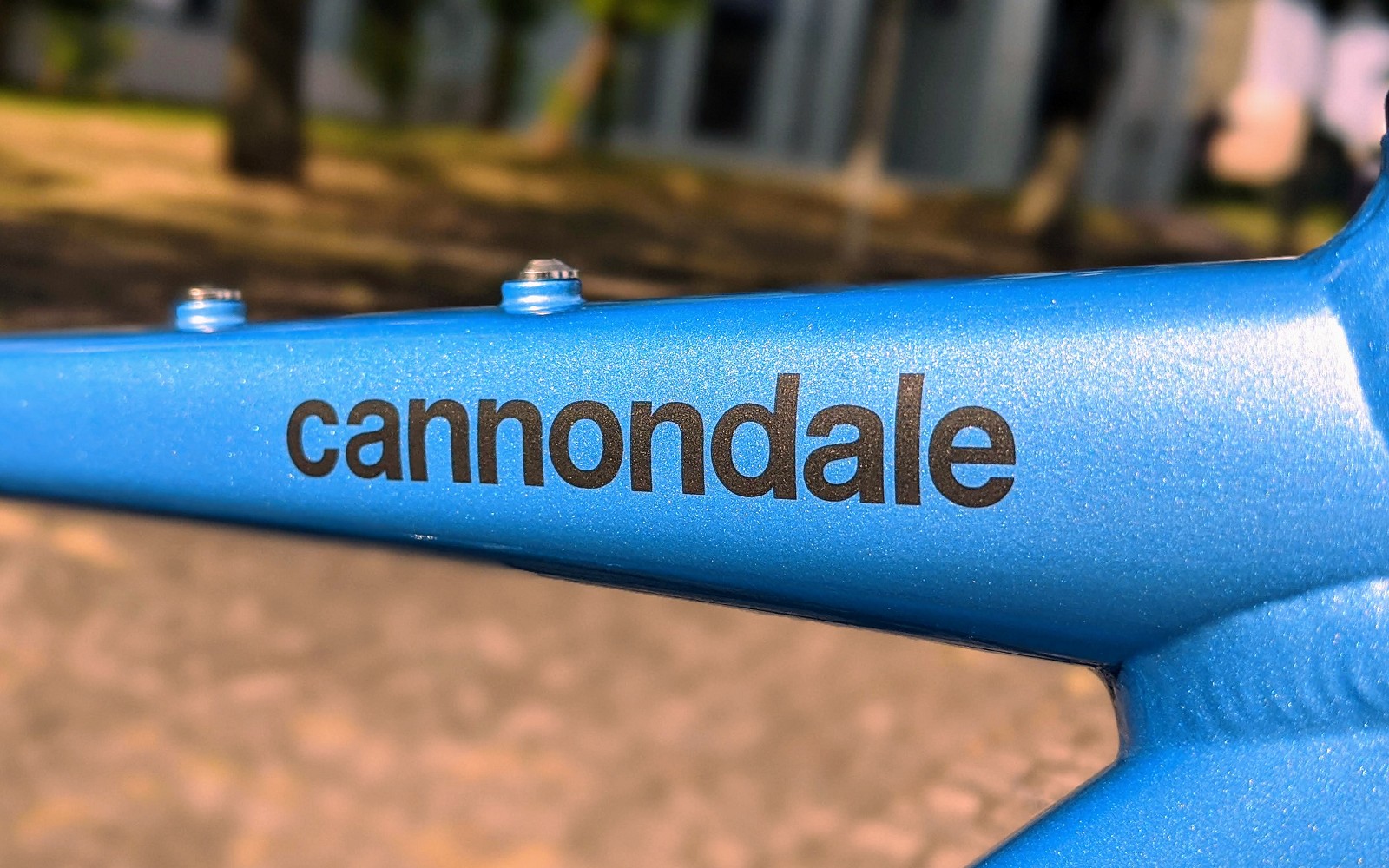 9月, 2020 | キャノンデール横浜