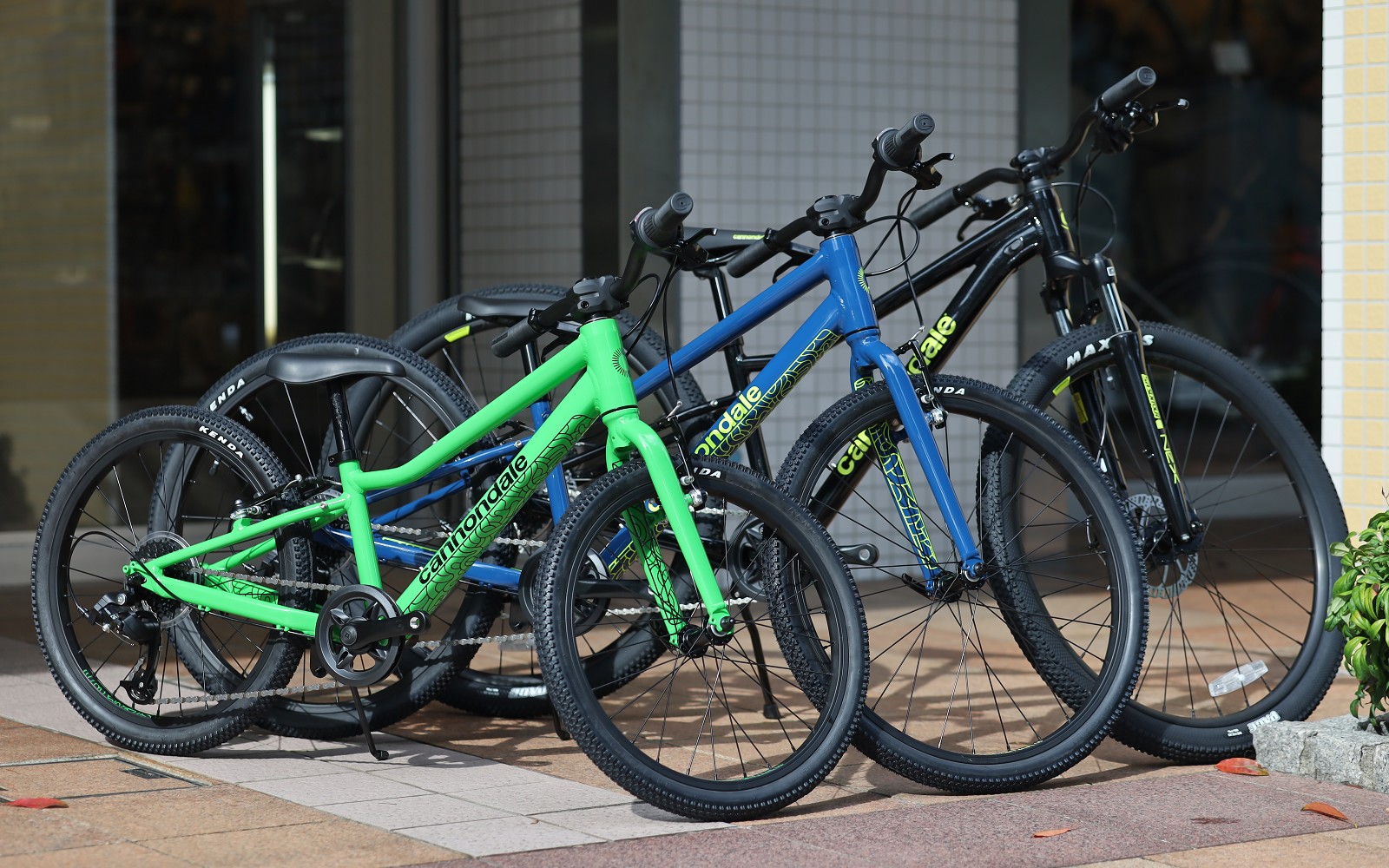 キャノンデールのキッズバイク達が入荷しました！ | キャノンデール横浜