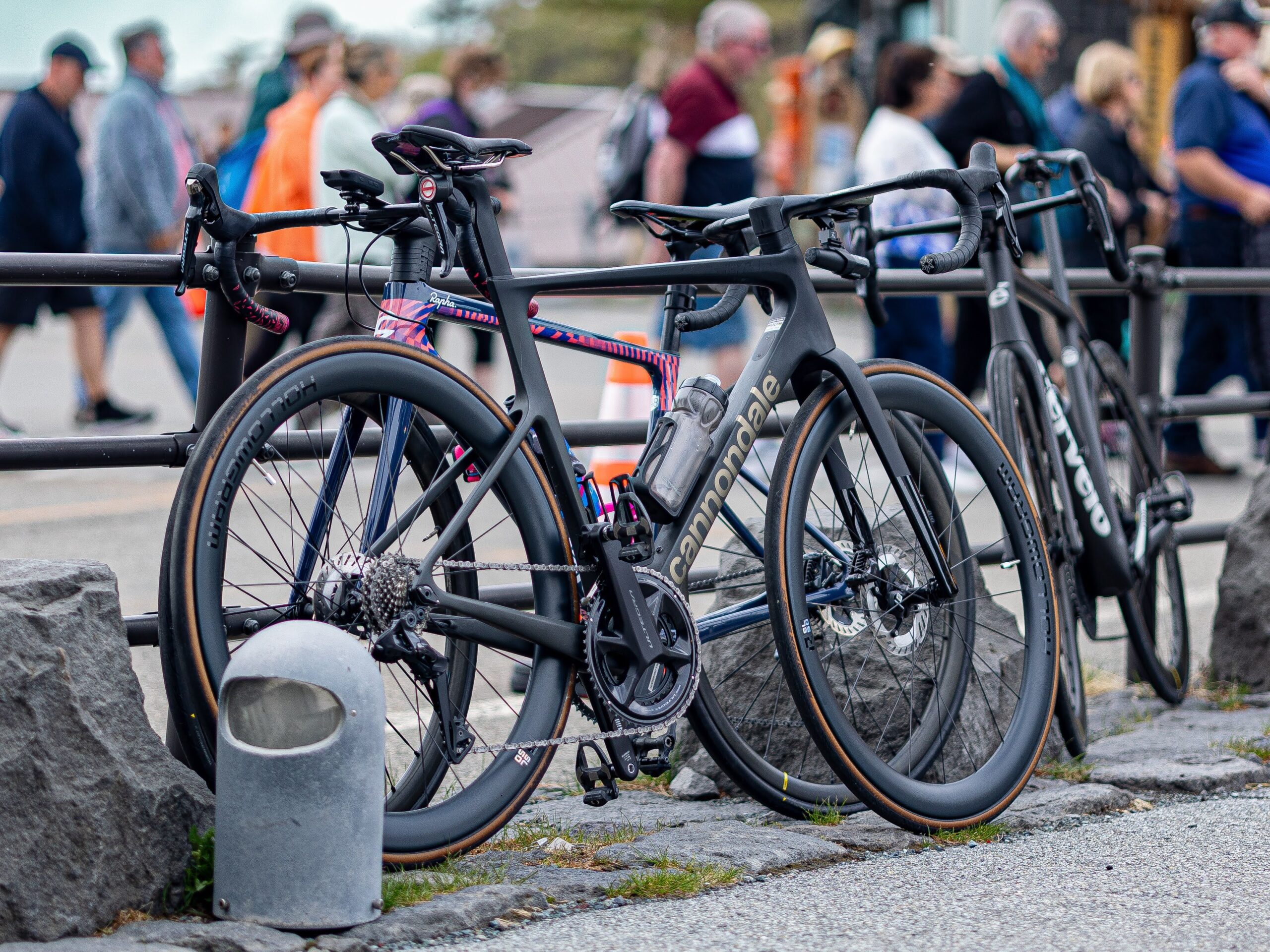 2024 | キャノンデール横浜