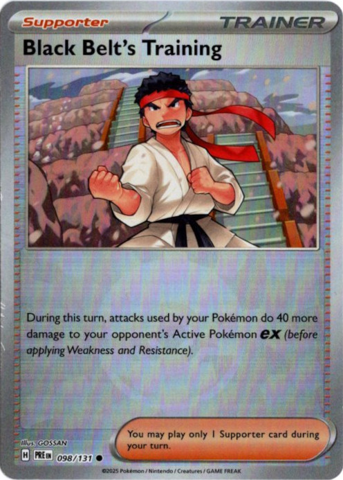 からておうの稽古 海外版 英語版 モンスターボールミラー Black Belt's