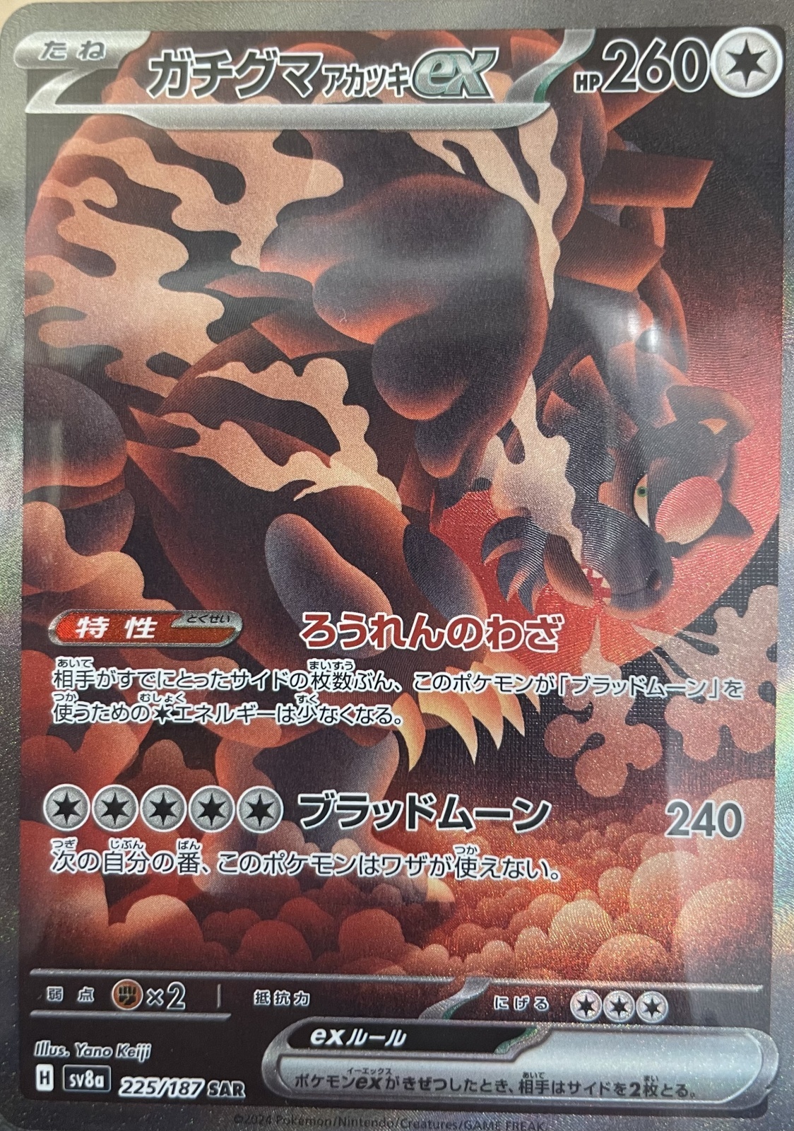 ガチグマアカツキex【SAR/イラスト違い/和風】｛225/187｝［SV8a