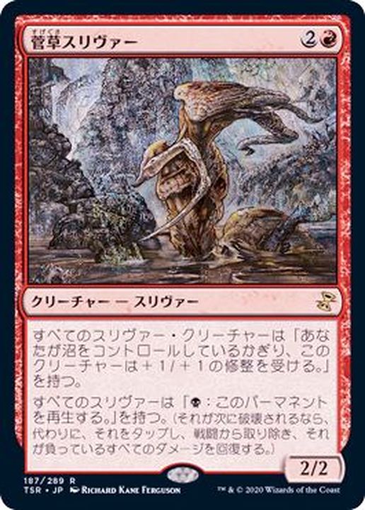 菅草スリヴァー/Sedge Sliver《日本語》【TSR】