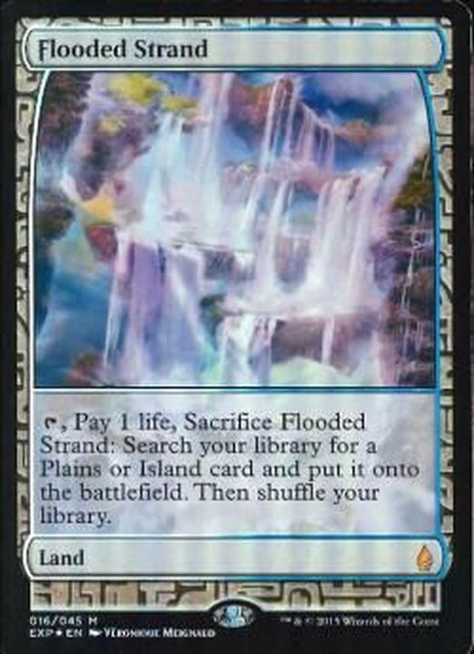 EX+](FOIL)溢れかえる岸辺/Flooded Strand《英語》【EXP】