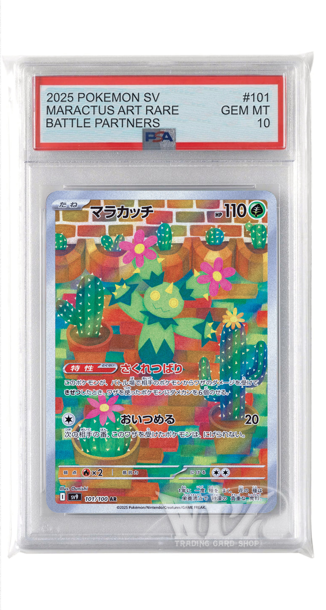 PSA10]マラカッチ【AR】〈101/100〉(草) - カードショップWiZ