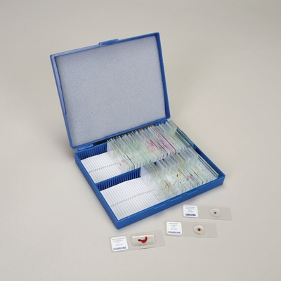 Medical Parasitology Microscope Slide Set | Carolina Biological Supply
