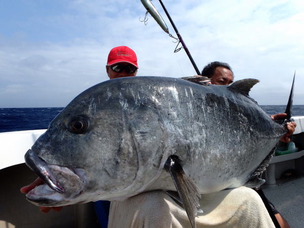 カーペンター 幻影