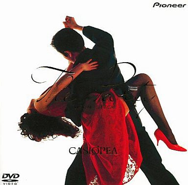 THE PARTY visual stack | casiopea web