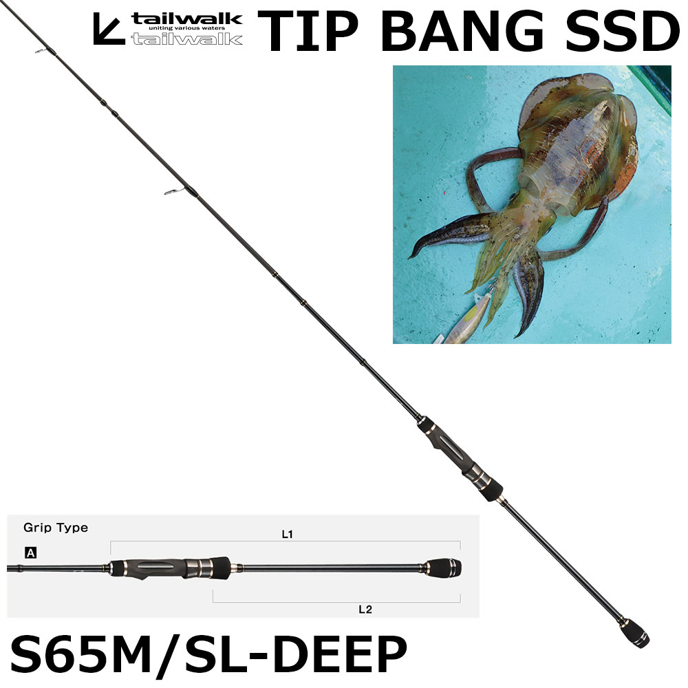 テイルウォーク(tailwalk) ティップバン SSD S65M/SL-DEEP ☆セール