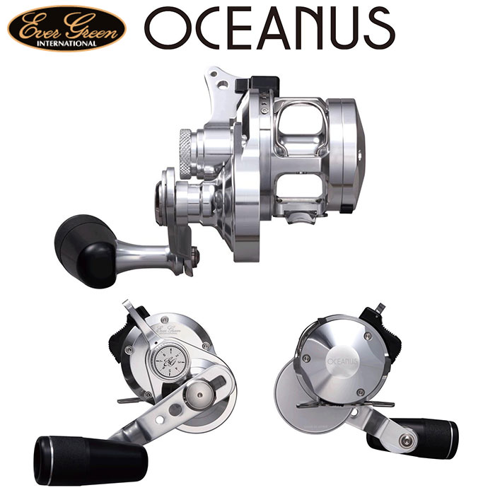 エバーグリーン オケアノス(OCEANUS)(お取り寄せ商品) エバーグリーン