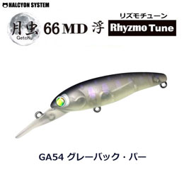 ハルシオン システム ルアー | 激安釣具通販 ルアーフィッシング