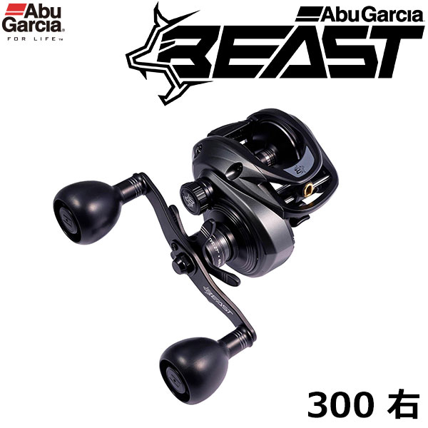 アブガルシア(Abu Garcia) ソルティステージ コンセプトフリー (SALTY