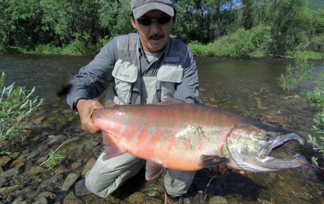 M&Nコーポレーション Twitchn Speciale BORON(トゥイッチン